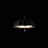 17570_small250