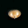 17568_small250