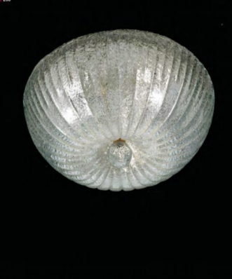 rogiada_pl