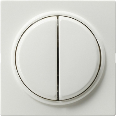 Gira-029540-Abdeckung-und-Serienwippen-S-Color-reinweiss[1]