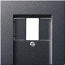 Gira-027628-Abdeckung-TAE-Stereo-USB-System-55-anthrazit[1]