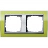 Gira-0212746-Abdeckrahmen-2fach-fuer-Farbe-Alu-Event-Klar-Klar-Gr[1]