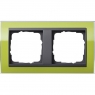 Gira-0212748-Abdeckrahmen-2fach-fuer-Anthrazit-Event-Klar-Klar-Gr[1]