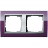 Gira-0212756-Abdeckrahmen-2fach-fuer-Farbe-Alu-Event-Klar-Klar-Au[1]