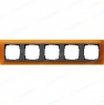gira_021514-large[1]