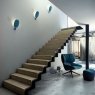 a_forest-w-fabien-dumas-blux-01