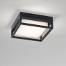 Настенный светильник Delta Light Montur 232 812 83 B