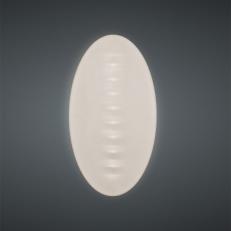 Потолочный светильник Foscarini Superficie 284005-10