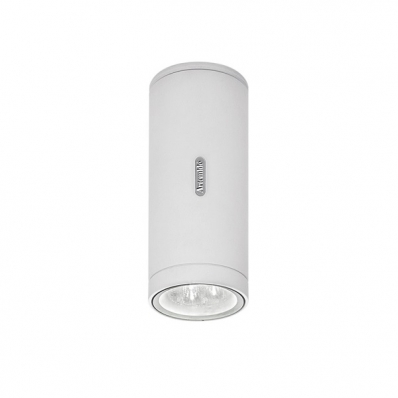 Потолочный светильник Artemide Calumet T41931LW00