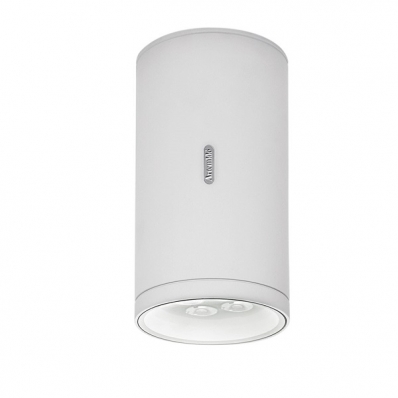 Потолочный светильник Artemide Calumet T41961LW00