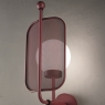 Papilio-A1P (1)