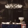 Подвесной светильник Moooi Heracleum The Small Big O 8718282296319