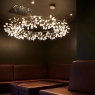 Подвесной светильник Moooi Heracleum The Small Big O 8718282296326